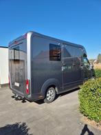 Te koop Stephex Renault Master Single Cab - Hengst - 24000km, Dieren en Toebehoren, Ophalen, Zo goed als nieuw, Polyester, 2-paards trailer