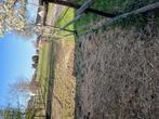 2 afgespannen weides met schuilstal, Weidegang, 2 of 3 paarden of pony's