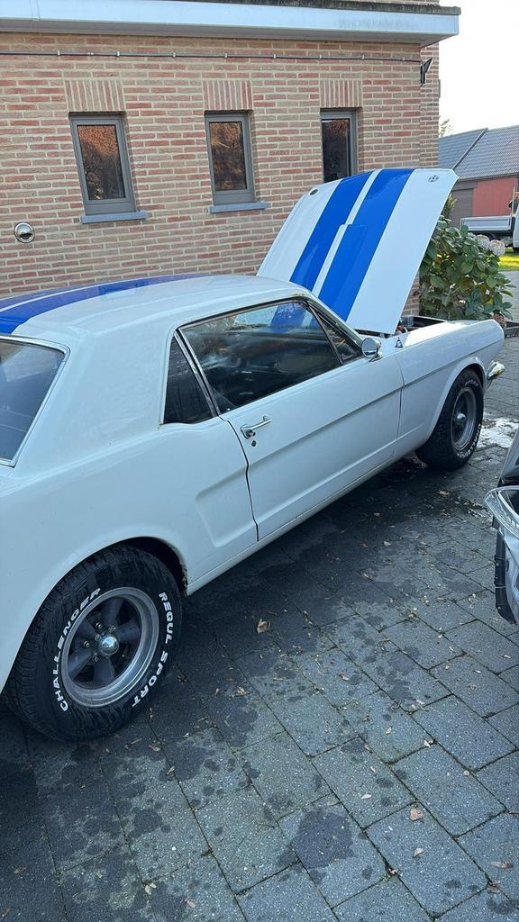 Ford mustang 1966 v8 coupe c code, Auto's, Oldtimers, Particulier, Ford, Benzine, Coupé, 2 deurs, Automaat, Wit, Zwart, Leder