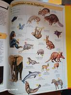 Vogels en Zoogdieren, Dieren en Toebehoren, Ophalen, Zo goed als nieuw, Overige typen