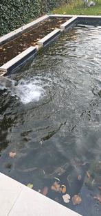 GRATIS vijverwater om weg te geven, Ophalen