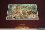 Alan M Hunt - African wildlife - The Sappi portfolio 1998, Ophalen of Verzenden