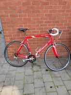 Specialized Allez Sport XXL racefiets, 28 inch, Zo goed als nieuw, 15 tot 20 versnellingen, 61 tot 65 cm