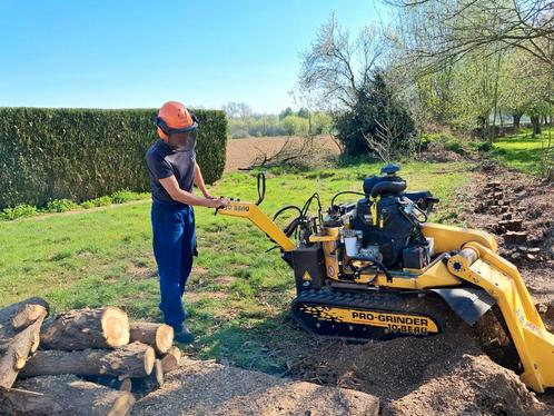 Boomstronken weg frezen, Diensten en Vakmensen, Tuinmannen en Stratenmakers