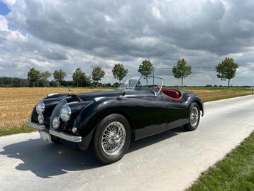 Jaguar XK120 1954