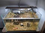 Aquarium met filter,verlichting verwarming en visjes te koop, Dieren en Toebehoren, Reptielen en Amfibieën | Toebehoren, Ophalen