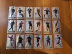 Panini Football 2008 LU complete set 36/36, Zo goed als nieuw, Sticker