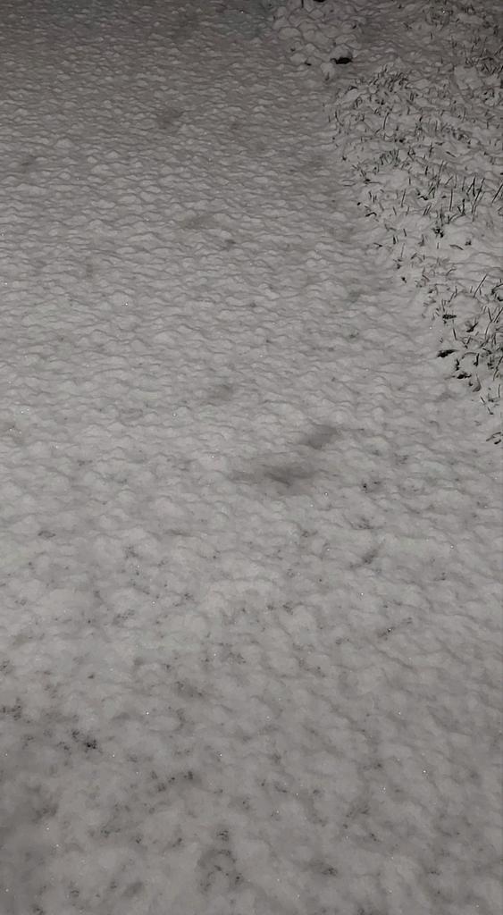 Zoek, Vacatures, Vacatures | Thuiswerk