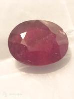 ovale handcut ruby birma 15.95 karat, Ophalen, Nieuw