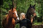 Eq-eazy paardenuitlaatservice en meer, Dieren en Toebehoren, Paarden, Meerdere dieren
