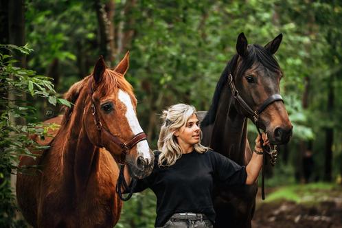 Eq-eazy paardenuitlaatservice en meer, Dieren en Toebehoren, Paarden, Meerdere dieren