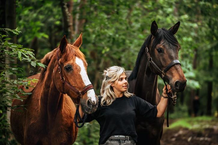 Eq-eazy paardenuitlaatservice en meer, Dieren en Toebehoren, Paarden, Meerdere dieren