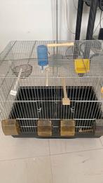 Accessoires pour canaris 65€