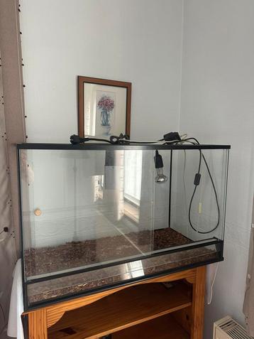 terrarium 80x40x50, Enlèvement, Utilisé, Terrarium ou Paludarium