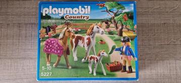 Playmobil Paddock met Paardenfamilie 5227
