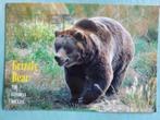 postkaart (Canada) : Grizzly Bear, Verzamelen, Dierenverzamelingen, Verzenden
