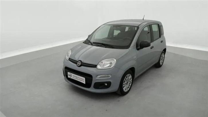 Fiat Panda 1.0i MHEV Pop CLIM, Autos, Fiat, Entreprise, Achat, Panda, ABS, Ordinateur de bord, Verrouillage central, Electronic Stability Program (ESP)