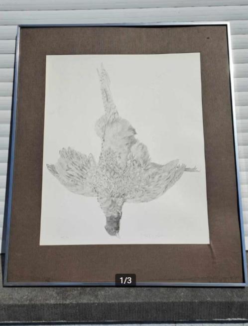 Lithographie oiseaux mort signe paul georges klein, Antiek en Kunst, Kunst | Litho's en Zeefdrukken, Ophalen of Verzenden