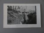 armée Belge guetteur dans une tranchée Belgisch leger, Verzenden, Overige soorten, Foto of Poster