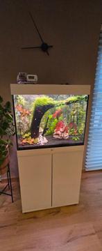 Aquarium Juwel 200 met alle toebehoren., Dieren en Toebehoren, Ophalen, Zo goed als nieuw