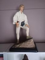 sideshow star wars PF luke skywalker, Enlèvement ou Envoi, Utilisé, Statue ou Buste