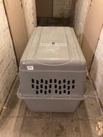Cage pour transport de chiens, Animaux & Accessoires, Enlèvement, Utilisé