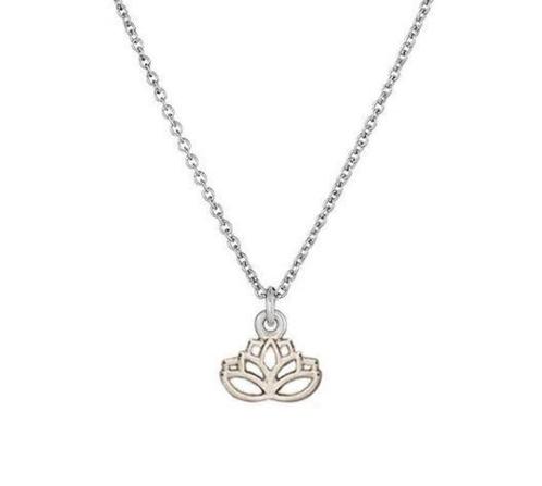Lotus zilverkleurig aan ketting, op cadeaukaartje, Handtassen en Accessoires, Kettingen, Nieuw, Zilver, Ophalen of Verzenden