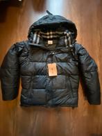 Burberry puffer, Ophalen of Verzenden, Nieuw, Maat 48/50 (M), Zwart