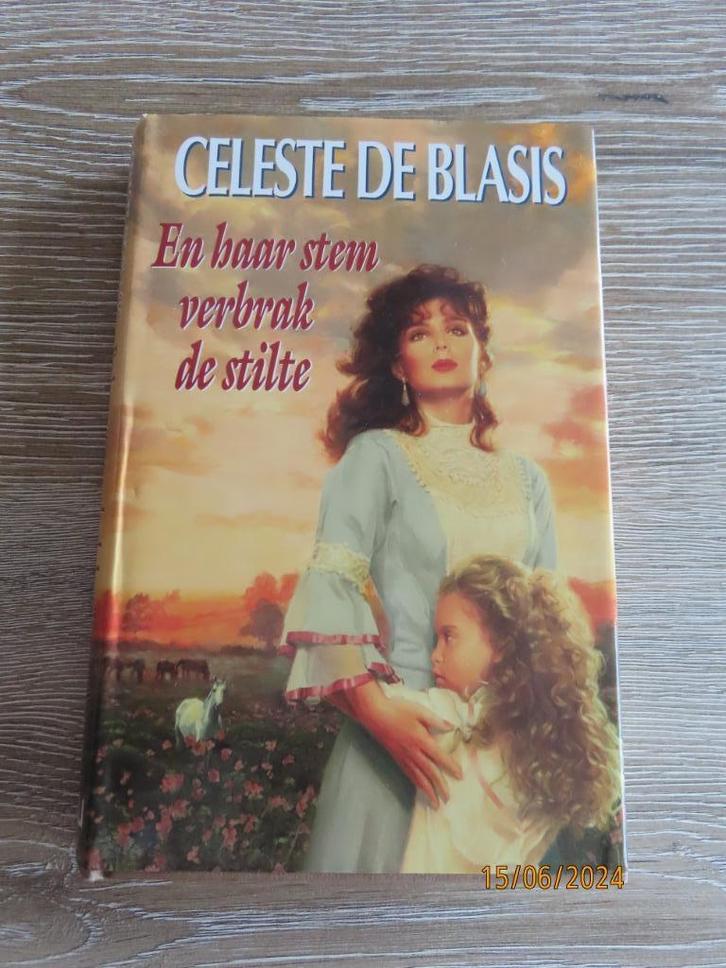 Boek - En Haar Stem Verbrak de Stilte (Celeste de Blasis), Boeken, Romans, Zo goed als nieuw, Ophalen of Verzenden