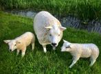 schaap beelden tuin terras veranda, Enlèvement ou Envoi, Neuf, Synthétique, Animal