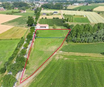 Weide +- 1ha beschikbaar voor biedingen