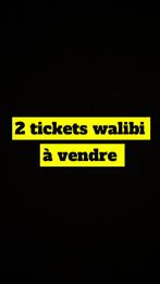 Ticket walibi belgium