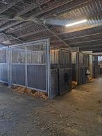 Paardenbox / paardenstallen/ staldeuren, Dieren en Toebehoren
