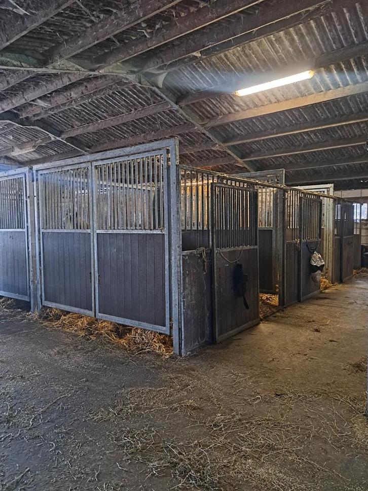 Paardenbox / paardenstallen/ staldeuren, Dieren en Toebehoren, Paarden