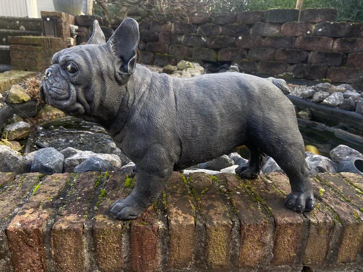 Nieuwe Betonnen Franse Bulldog., Tuin en Terras, Tuinbeelden, Nieuw, Dierenbeeld, Beton, Ophalen