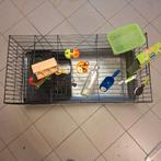 konijnen cavia leefhok, Dieren en Toebehoren, Ophalen, Gebruikt, Hok, Hamster