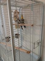 Cage à oiseaux. Métal blanc Barres horizontales. Avec bâton, Animaux & Accessoires, Enlèvement, Comme neuf, Métal, Cage à oiseaux