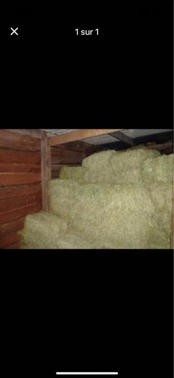 Petits ballots de foin beschikbaar voor biedingen