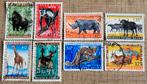 8 oude postzegels: Belgisch-Congo - dieren, Ophalen of Verzenden, Overige landen, Gestempeld
