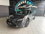 ES 300h Executive Line, Autos, Lexus, Argent ou Gris, Achat, 2487 cm³, Entreprise