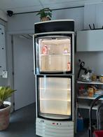 Frigo en diepvries, Dieren en Toebehoren, Reptielen en Amfibieën | Toebehoren, Ophalen of Verzenden, Zo goed als nieuw