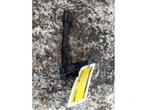 Pen Bobine van een Ford Fiesta, Ophalen of Verzenden, 3 maanden garantie, Gebruikt, Ford