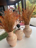 mooie vazen set, Huis en Inrichting, Woonaccessoires | Droogbloemen, Ophalen, Zo goed als nieuw