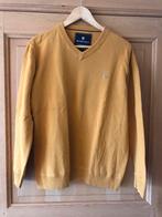 Mannentrui maat S, Kleding | Heren, Truien en Vesten, Ophalen of Verzenden, Zo goed als nieuw, Maat 46 (S) of kleiner, Geel