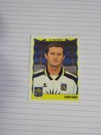 Voetbal : Sticker Football 99 : Coen Burg - Westerlo, Ophalen of Verzenden, Nieuw, Poster, Plaatje of Sticker