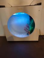 aquarium met verlichting en verwarming