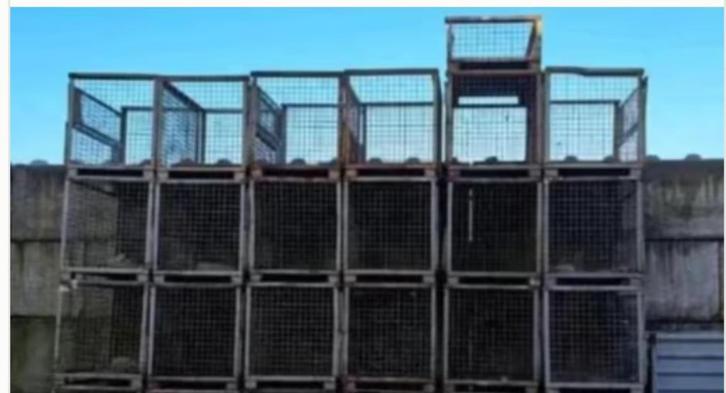 gitterbox, Doe-het-zelf en Bouw, Kratten en Dozen, Gebruikt, Ophalen