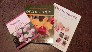 Orchideeën boeken