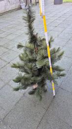 Oude kerstboompje 90cm., Ophalen, Gebruikt