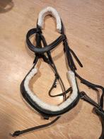 Epplejeck hoofdstel maat cob, Ophalen of Verzenden